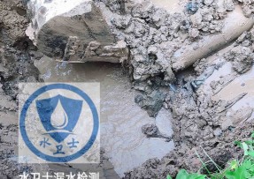 乌翠区水管漏水检测公司5
